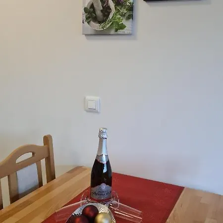 Centre Lux Apartment Maribor